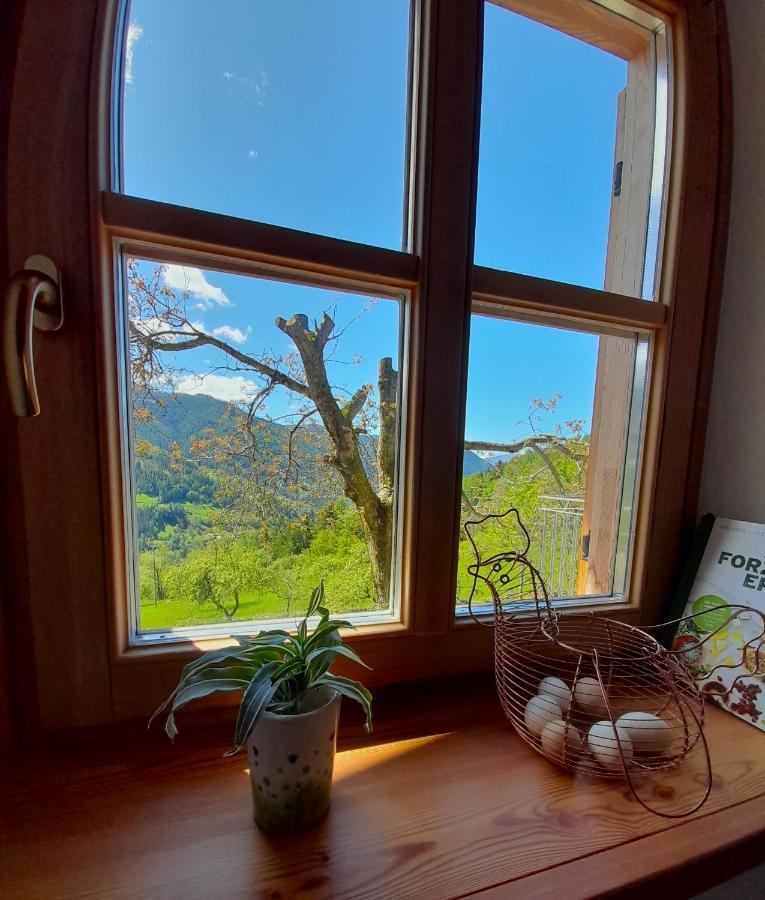 Sant'Orsola B&B Chalet Dolomiti מראה חיצוני תמונה