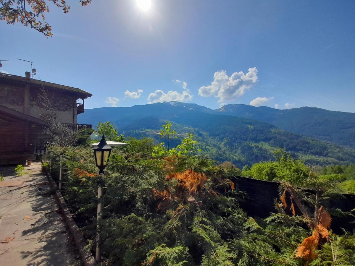 Sant'Orsola B&B Chalet Dolomiti מראה חיצוני תמונה