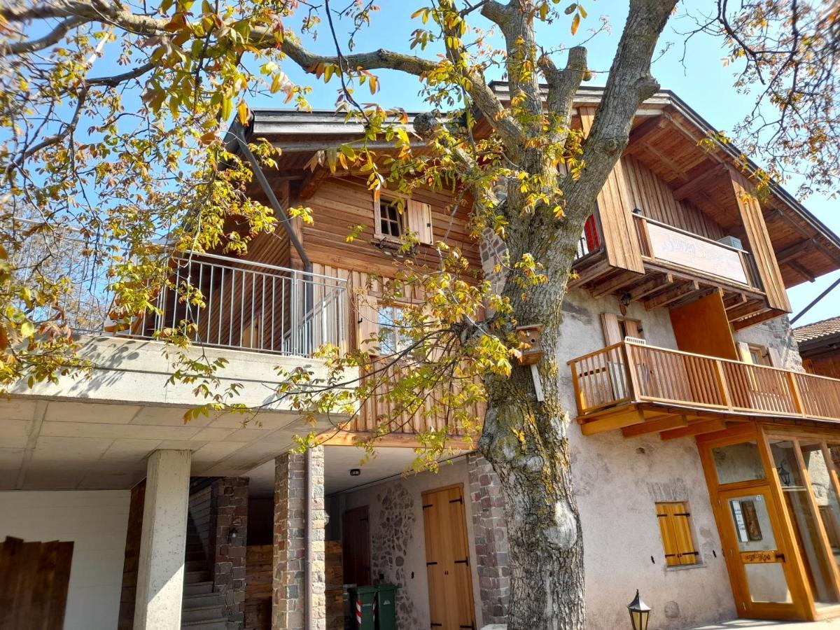 Sant'Orsola B&B Chalet Dolomiti מראה חיצוני תמונה
