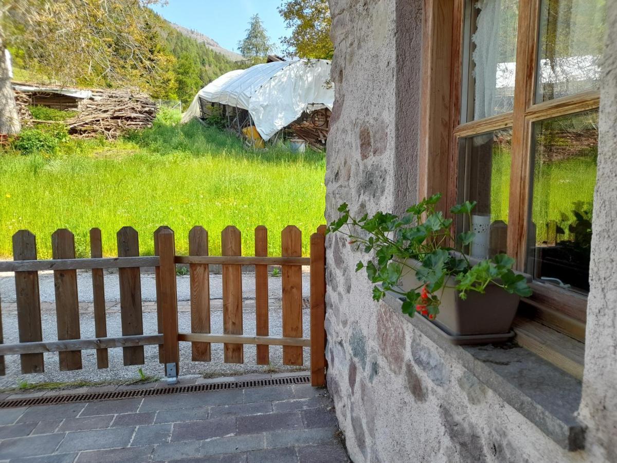 Sant'Orsola B&B Chalet Dolomiti מראה חיצוני תמונה