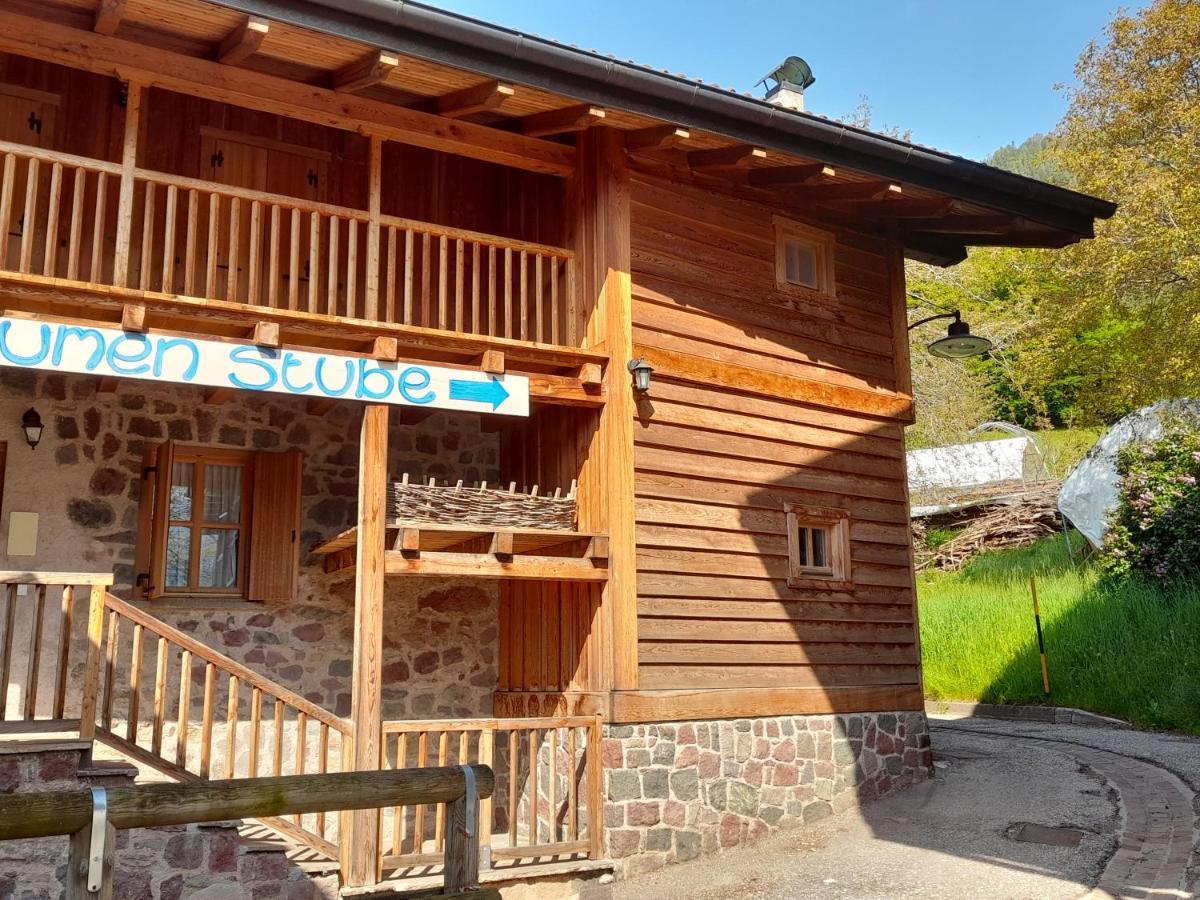 Sant'Orsola B&B Chalet Dolomiti מראה חיצוני תמונה
