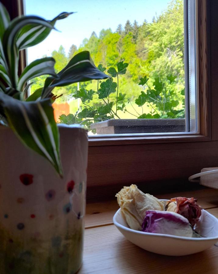 Sant'Orsola B&B Chalet Dolomiti מראה חיצוני תמונה