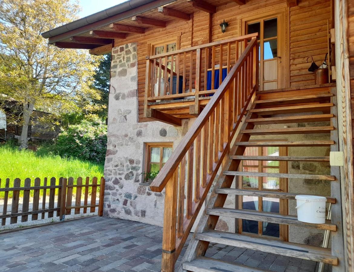 Sant'Orsola B&B Chalet Dolomiti מראה חיצוני תמונה