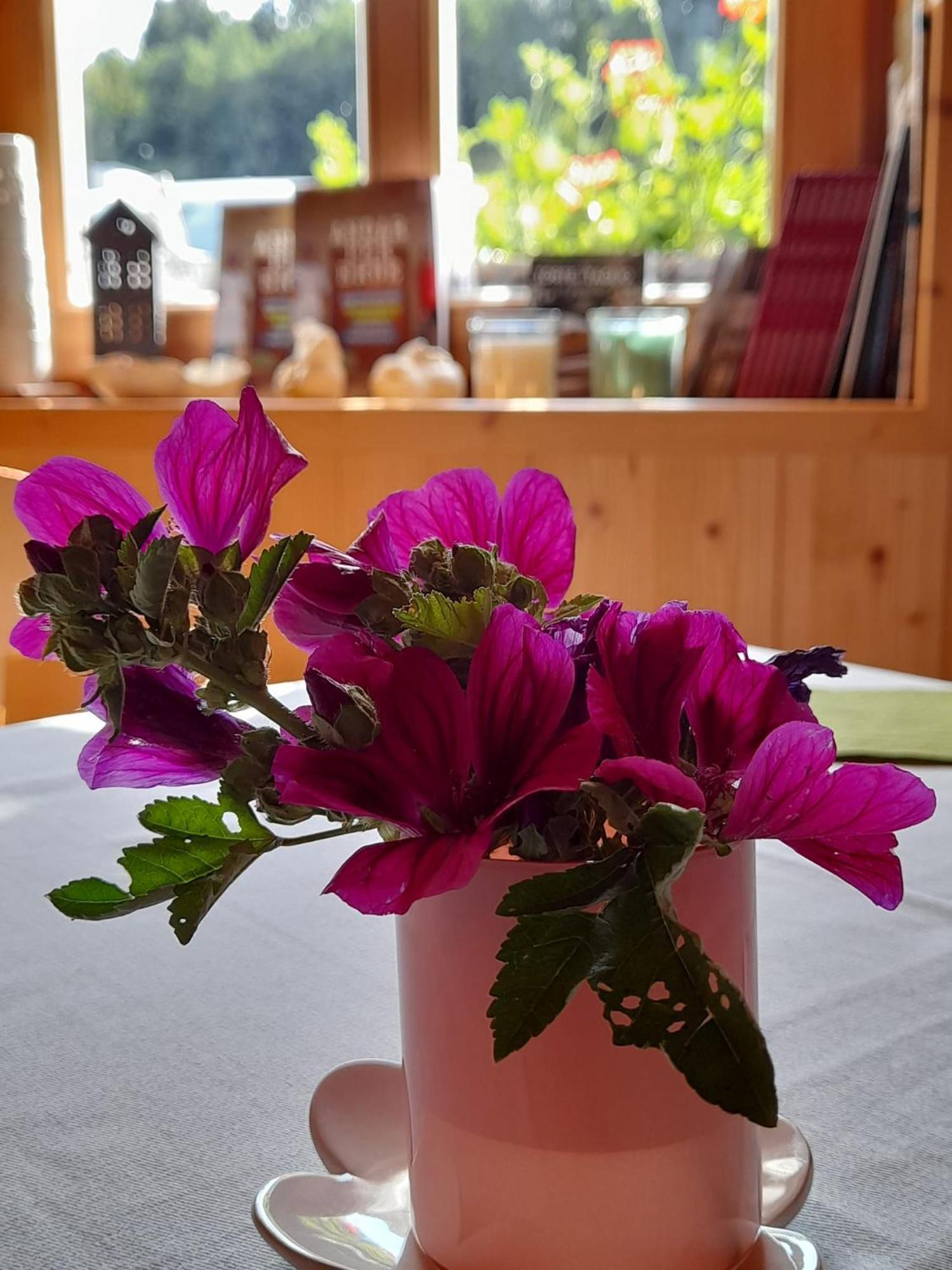 Sant'Orsola B&B Chalet Dolomiti מראה חיצוני תמונה
